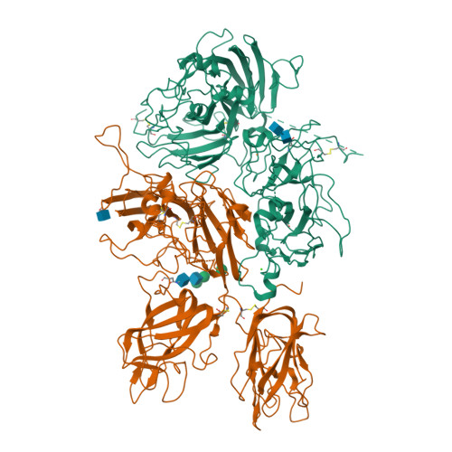 coagulation factor VIII Blood coagulation components IUPHAR/BPS