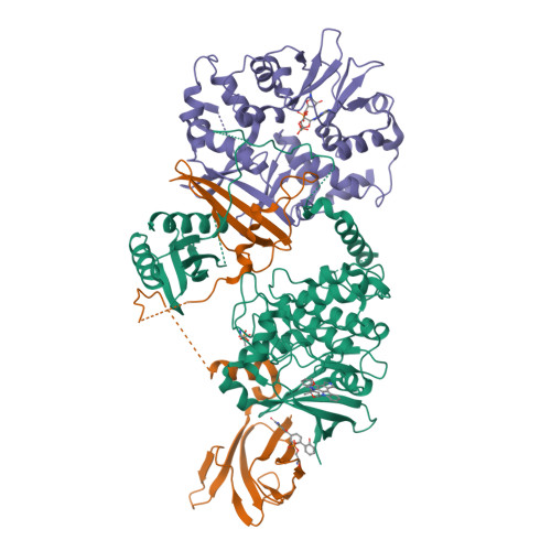 AMP kinase AMPK subfamily IUPHAR/BPS Guide to PHARMACOLOGY