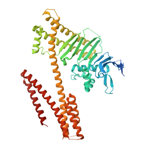 RCSB PDB 4DVZ Crystal structure of the Helicobacter pylori CagA