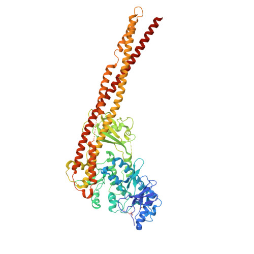 RCSB PDB 4KIK Human IkB kinase beta