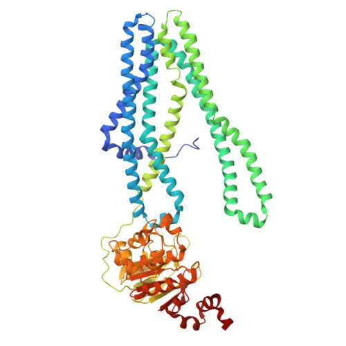 RCSB PDB 3QF4 Crystal structure of a heterodimeric ABC transporter