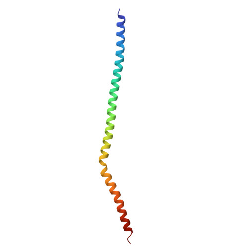 RCSB PDB 3SWK Crystal structure of vimentin coil1B fragment