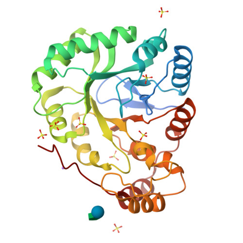 Opportunistic predators, senfina krizos are at home in the sky and on land. Rcsb Pdb 1ynq Aldo Keto Reductase Akr11c1 From Bacillus Halodurans Holo Form
