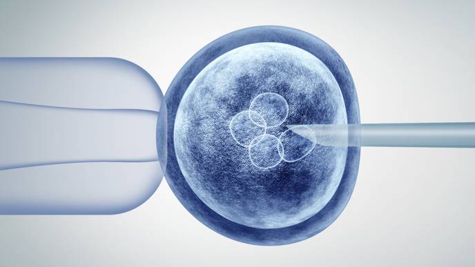 Scientists Produce Human Norepinephrine Neurons from Stem Cells, with