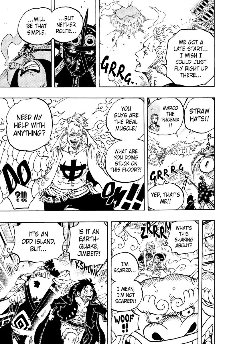 One Piece chapter 997 English Scans