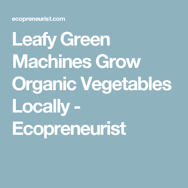 The Leafy Green Machine A Juicer That Can Handle Anything Real Food
