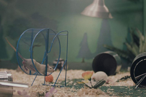 Realscreen » Archive » Exclusive clip Vice Studios preps first
