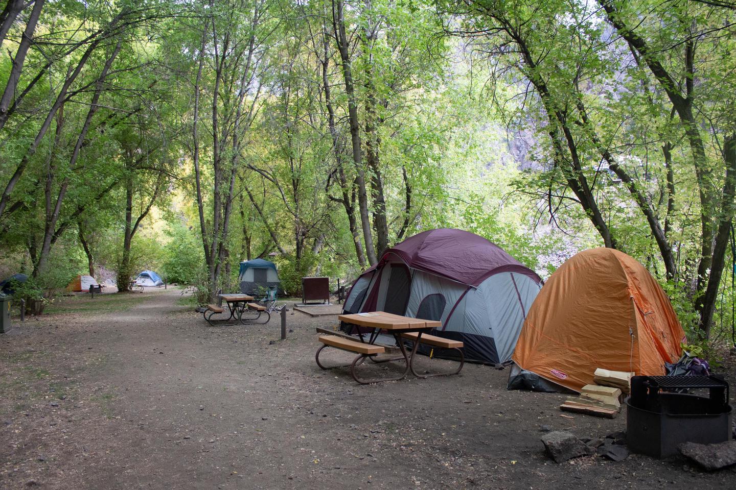 East Portal Campground, Black Canyon Of The Gunnison National Park