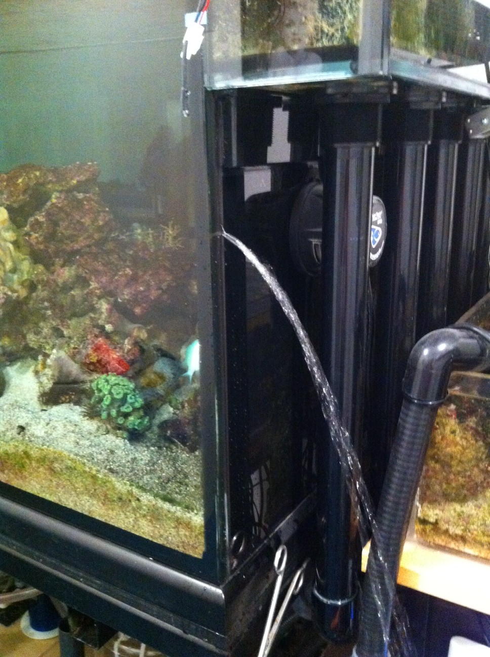 Your tank is leaking what do you do right now?