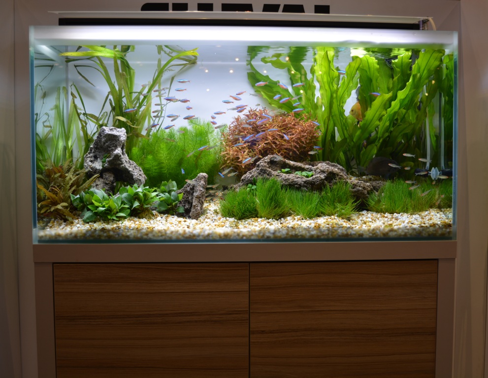 Fluval Unveils New Premium Freshwater Aquarium Series