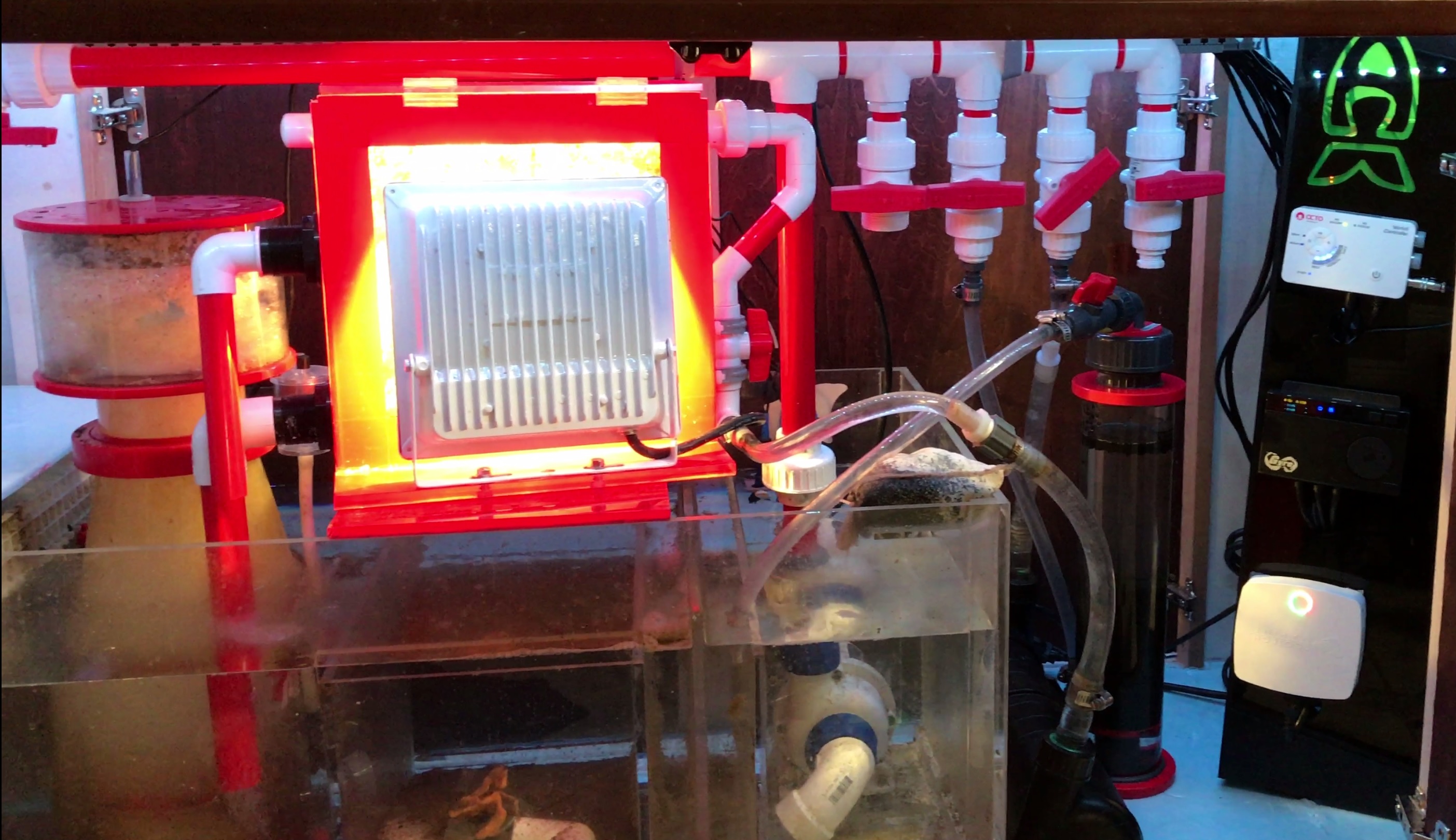 Aquarium Tips Wire Management