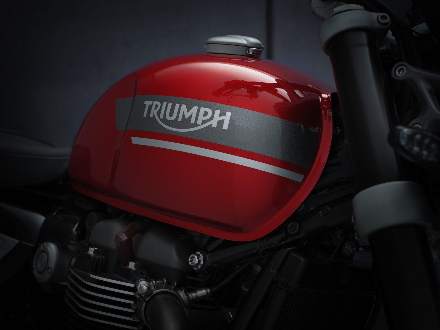 Triumph Speed Twin 2021 Tank