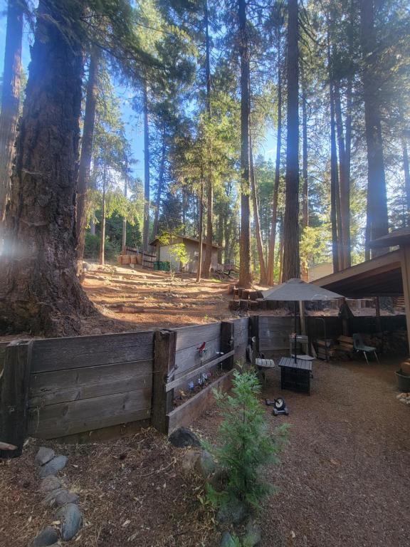 3192 Sly Park Rd, Pollock Pines, CA, Apartment for rent for 1,700