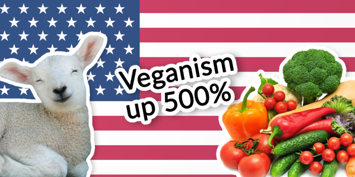 Veganism has grown 500 since 2014 in the US