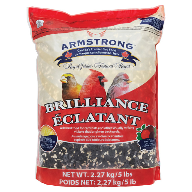 Safflower Seeds For Birds Canada Galuh Karnia458