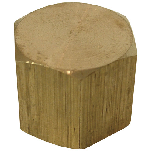 SIOUX CHIEF Pipe Cap Brass 1/2" FIP 930492001 RONA