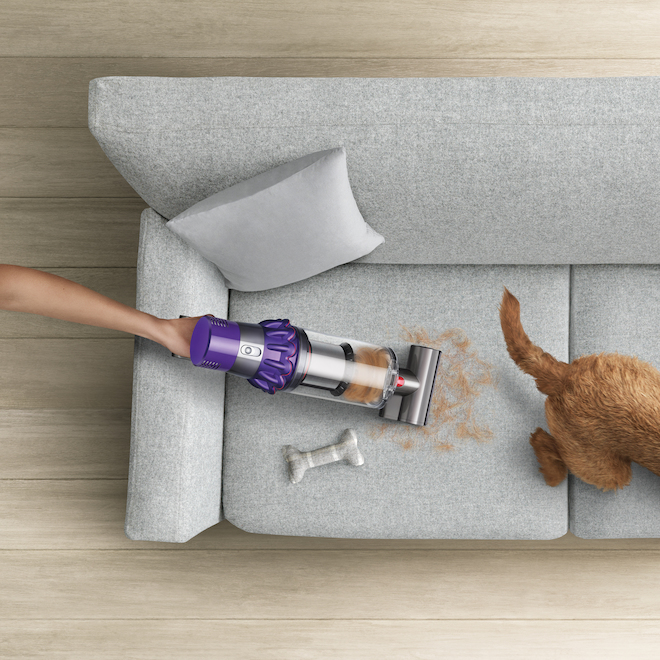 Dyson V10 Animal+ Cordless Stick and Handheld Vacuum 43055201 RONA
