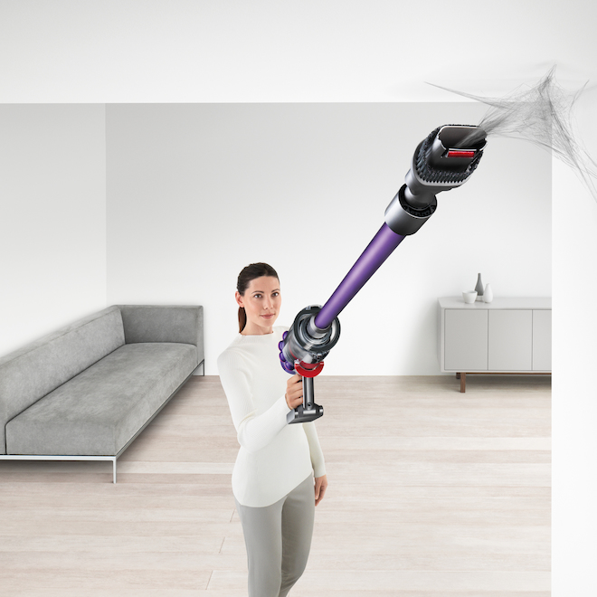 Dyson V10 Animal+ Cordless Stick and Handheld Vacuum 43055201 RONA