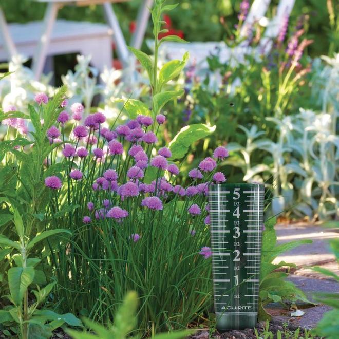 AcuRite 5in Glass Rain Gauge 00854SBL RONA