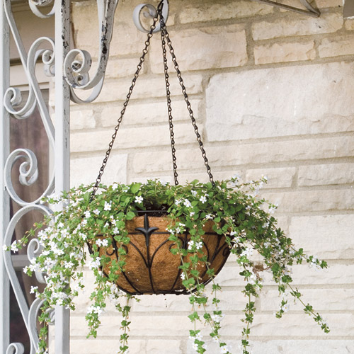 PANACEA Hanging Basket Black Steel Coco Fiber Liner 14'' 88512 RONA