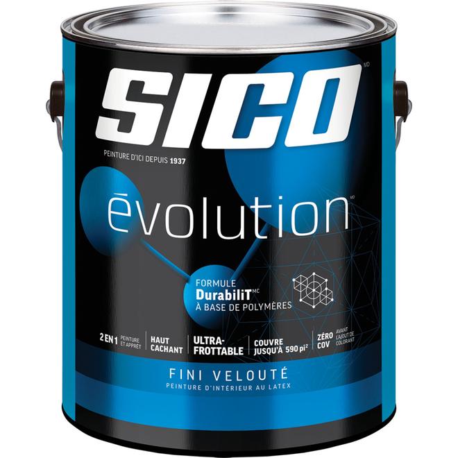 Peinture et apprêt SICO Evolution intérieur fini velouté 3,78 L latex