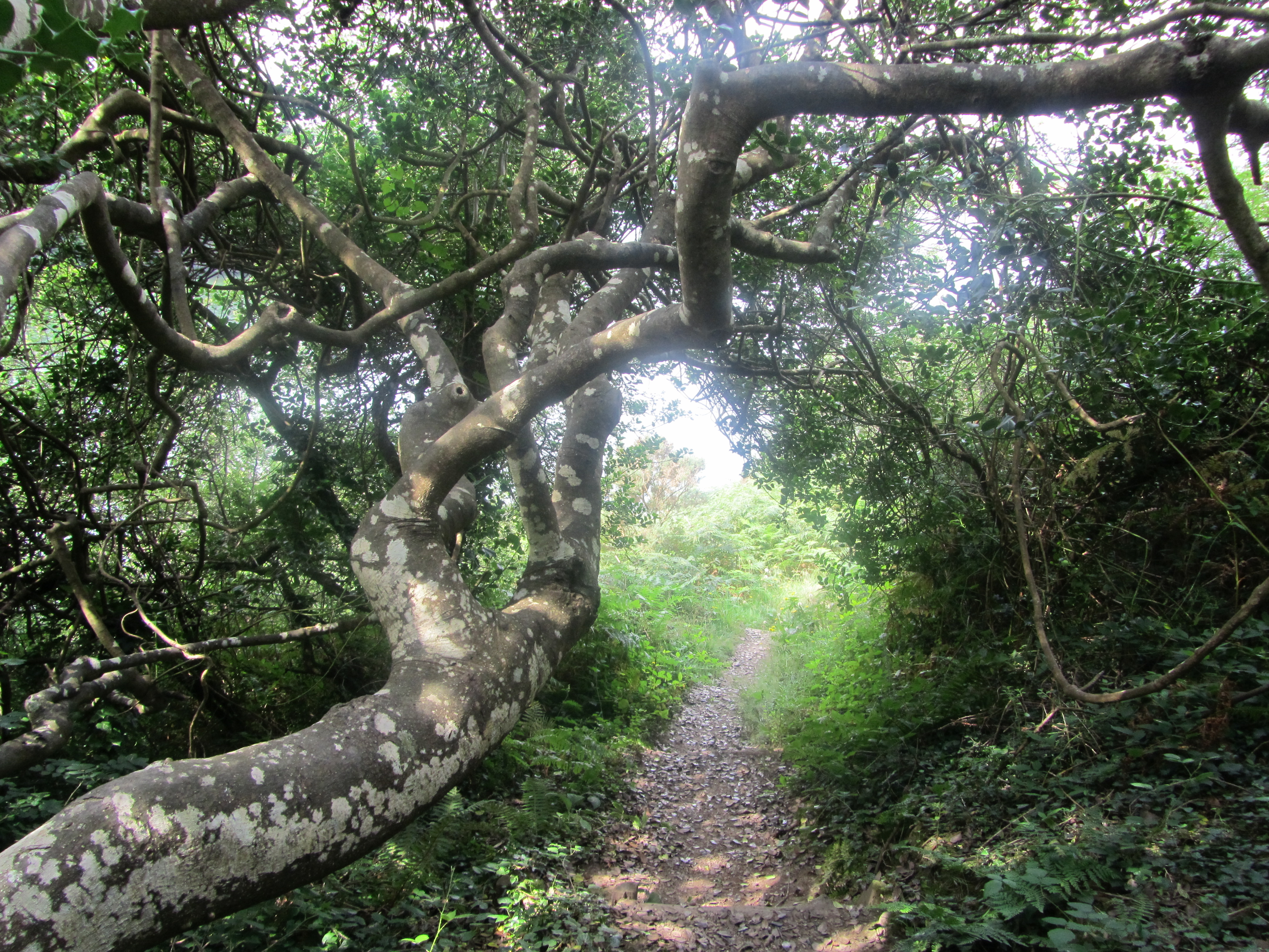 Frenchman’s Creek Frames of Reference