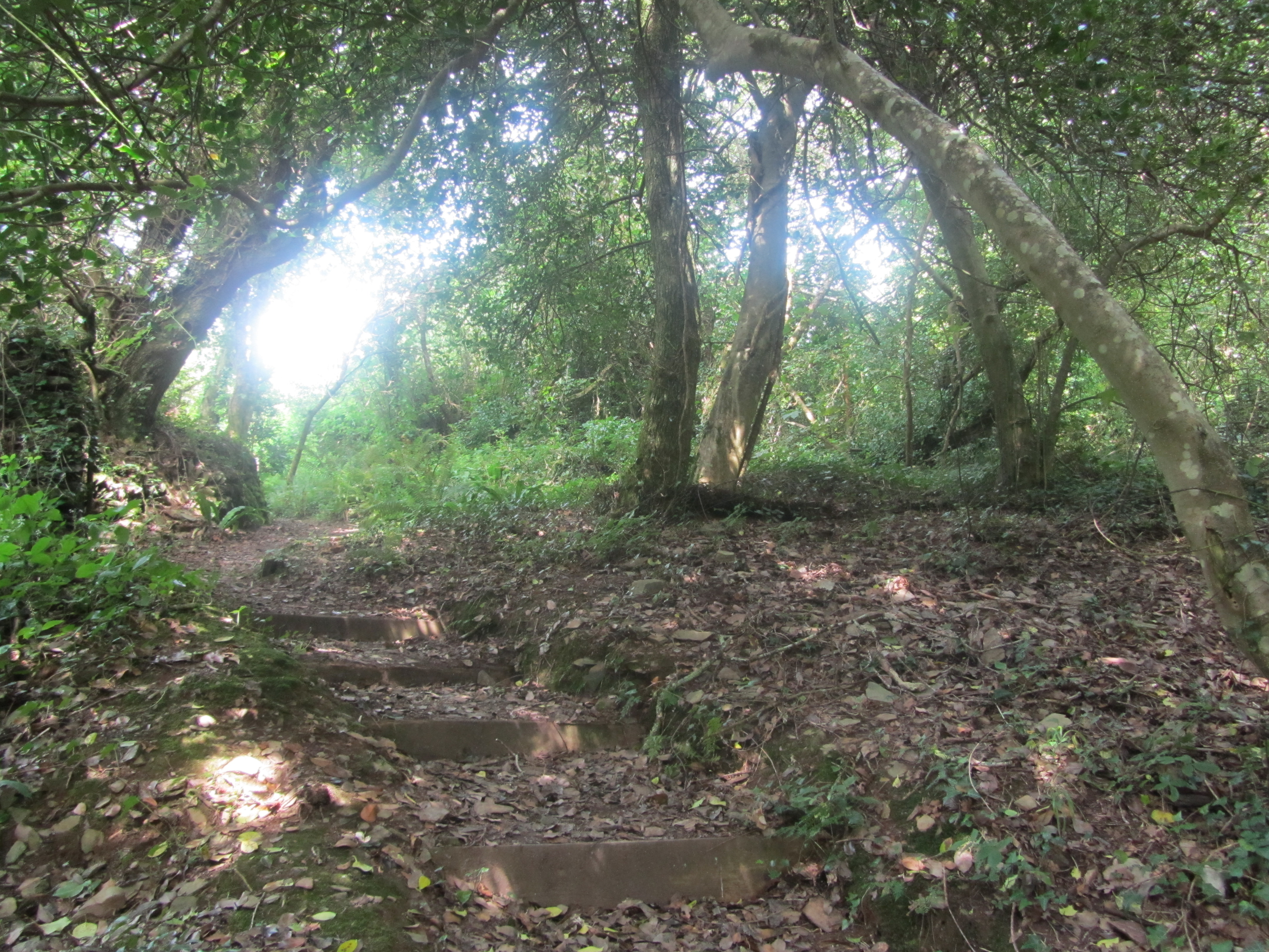 Frenchman’s Creek Frames of Reference