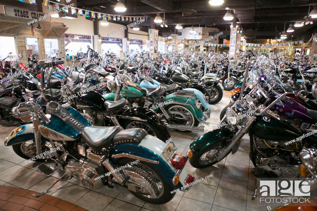 Motown Harley Davidson The Most Successful Harley Davidson Dealership