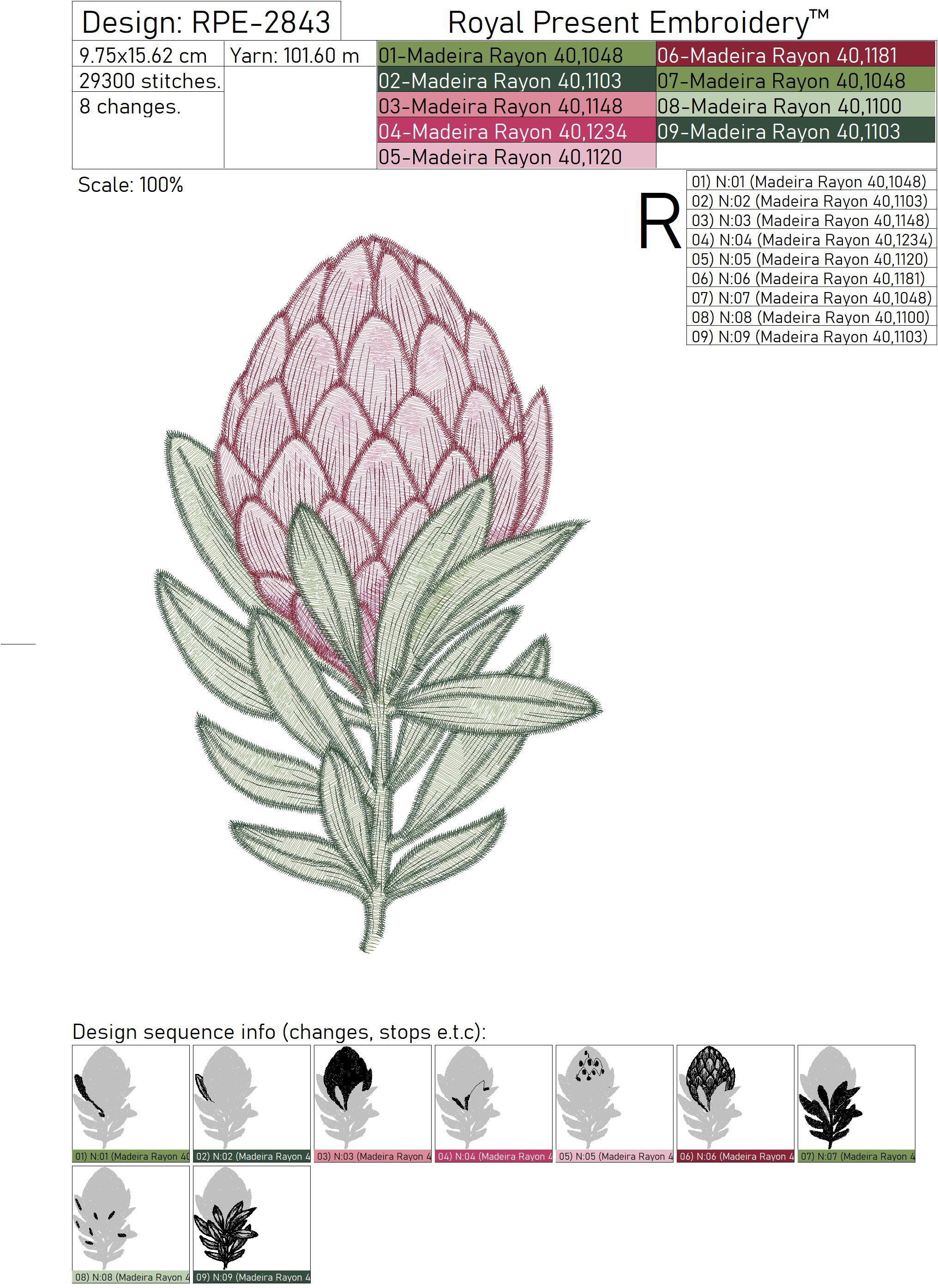 Protea Machine Embroidery Designs 4 sizes Royal Present Embroidery