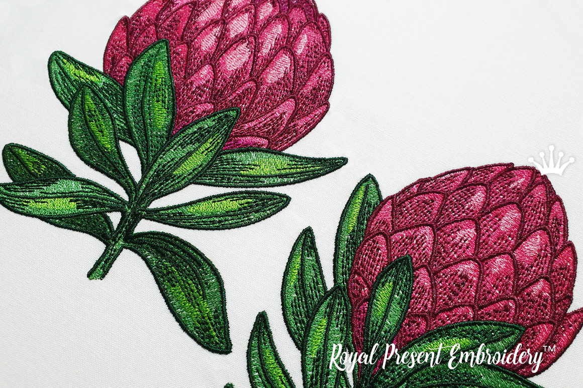 Protea Machine Embroidery Designs 4 sizes Royal Present Embroidery
