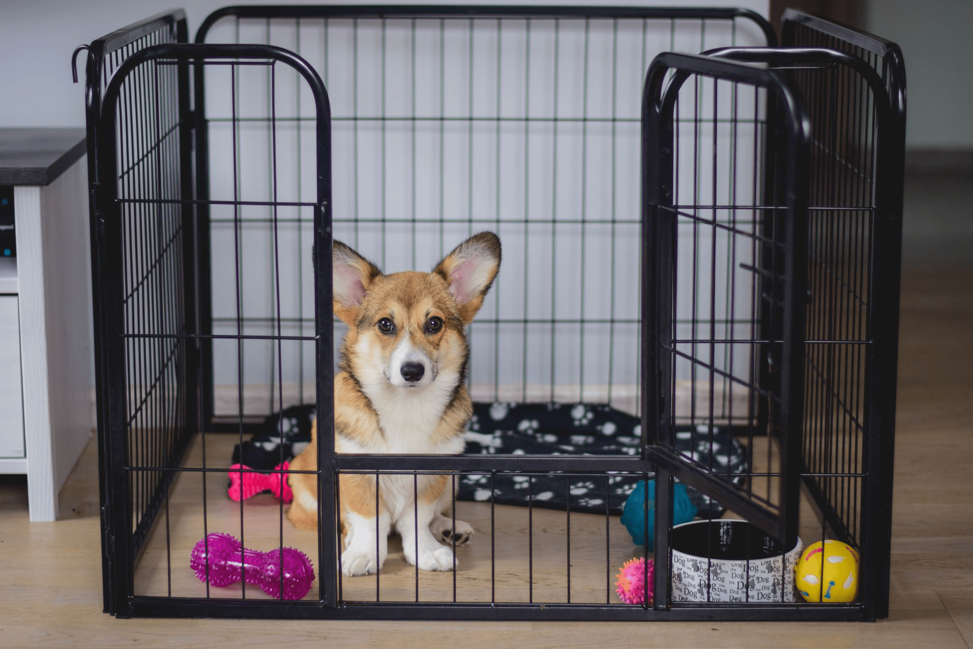 How Long Should You Crate Train A Puppy