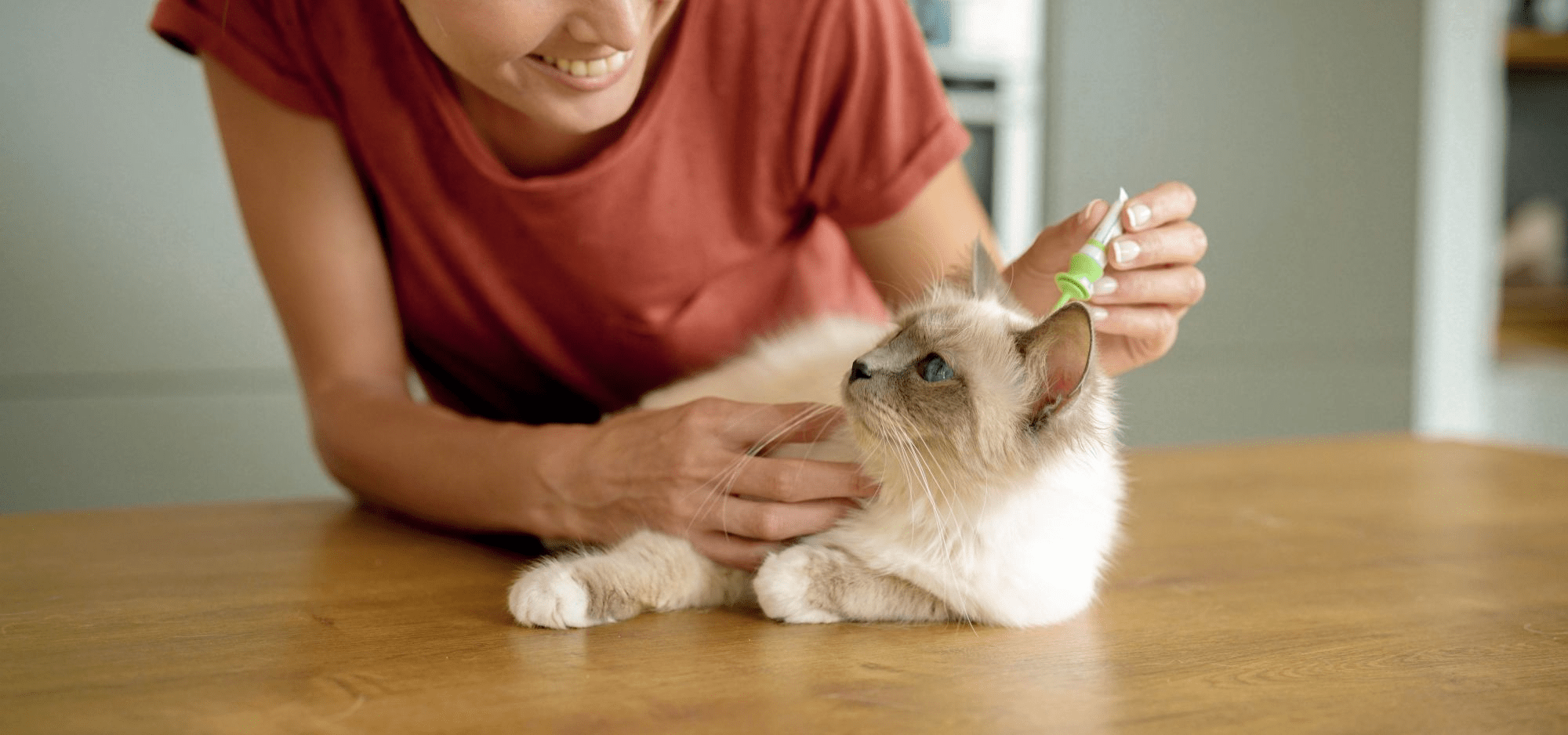 Best way to get rid of cat fleas Royal Canin US