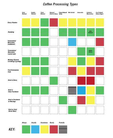 Coffee Processing Styles And Terminology (Plus Flowchart) | Royal Coffee