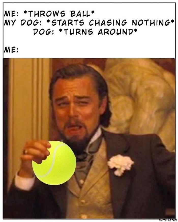 Just 27 Of The Best Leonardo DiCaprio From "Django Unchained" Memes