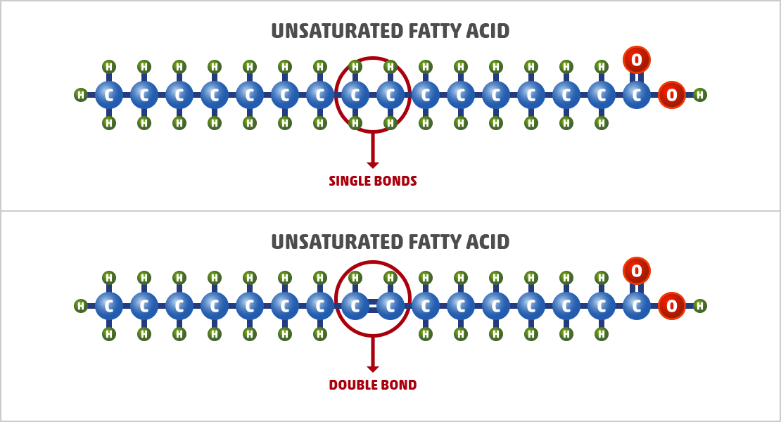 Unsaturated Fat What it is & Examples Guide]