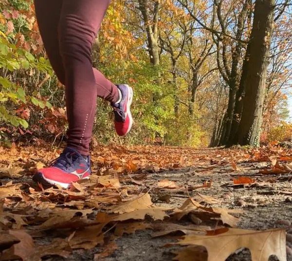 Mizuno Wave Rider 23 Review 2022, Facts, Deals ($65) | Runrepeat