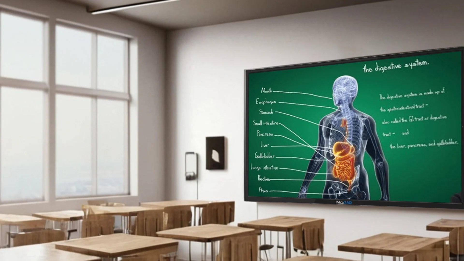 Top Online Teaching Setup Equipment TechnoClass