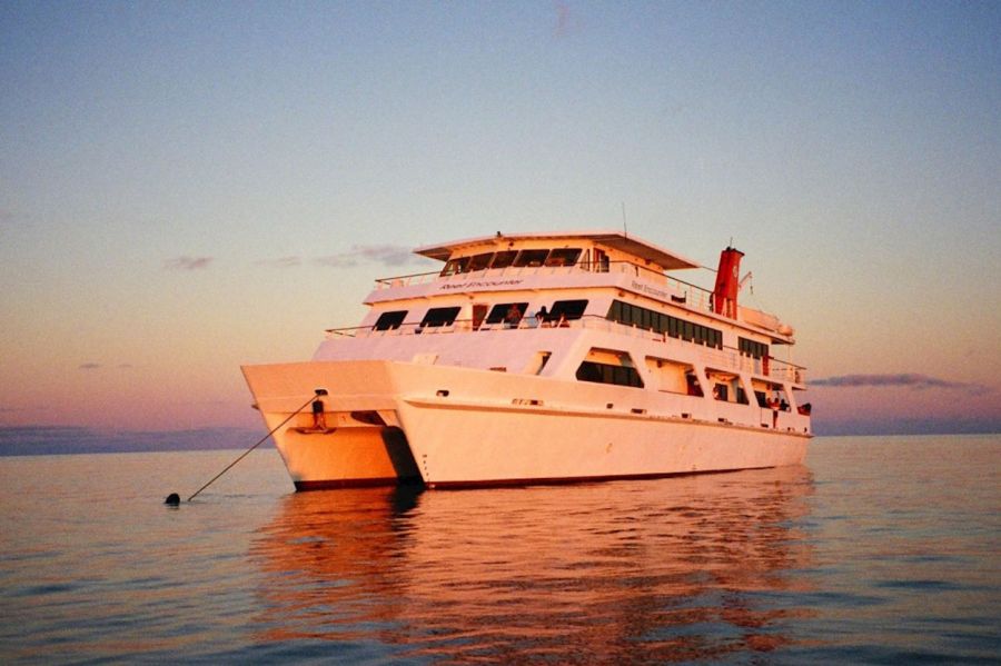 Best Liveaboards for Backpackers CairnsTours