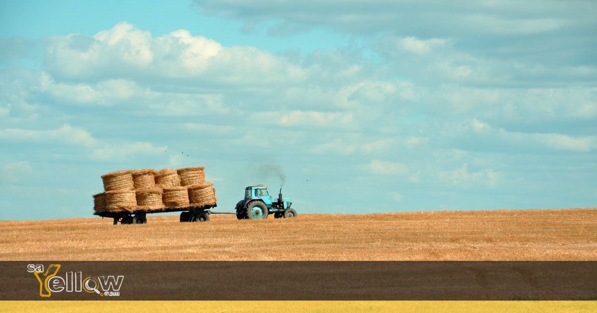 Tractor Spares & Implements in Letsitele, South Africa