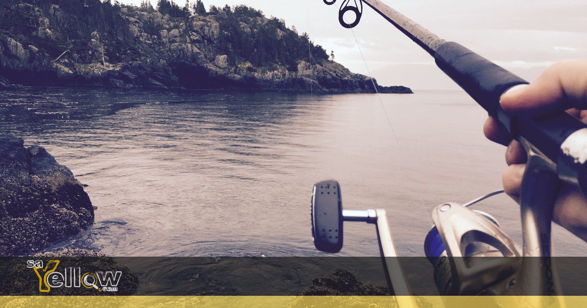 Fishing Boats Trawlers in eThekwini Municipality, South Africa
