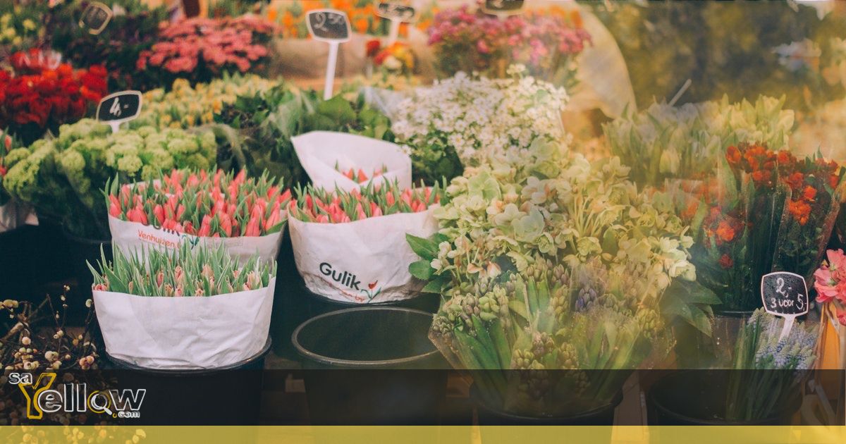 Multiflora Flower Market in Johannesburg, South Africa