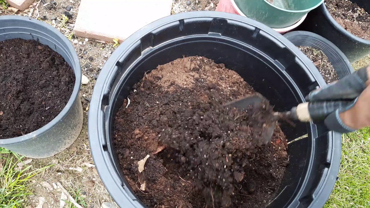 The Different Methods Of Loosening Soil Before Planting SC Garden Guru