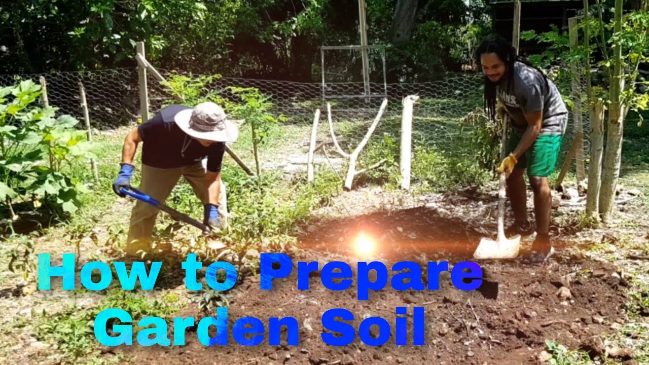 How To Plant Shrubs In Sandy Soil SC Garden Guru