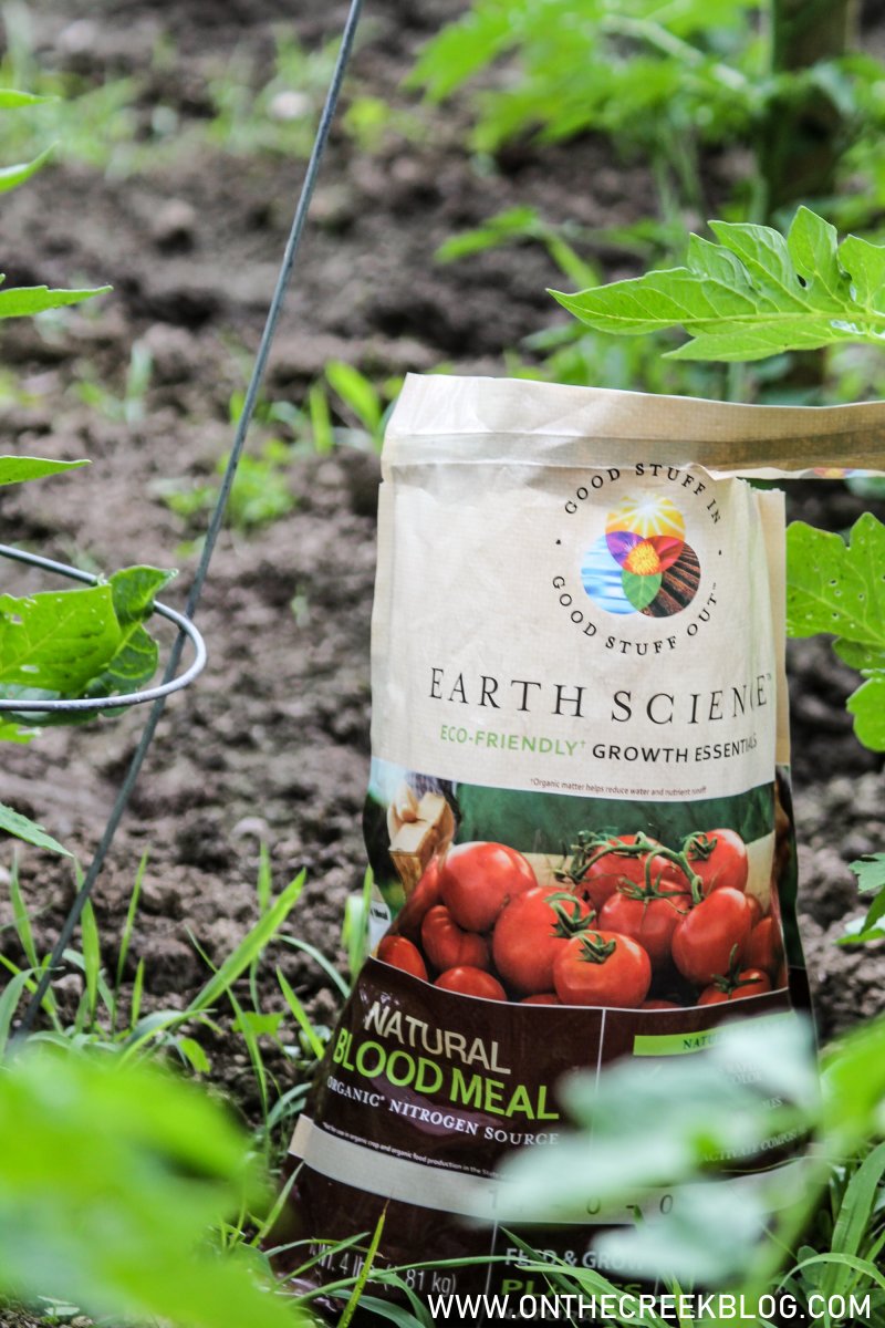 The Benefits Of Adding Blood Meal To Plant Soil SC Garden Guru