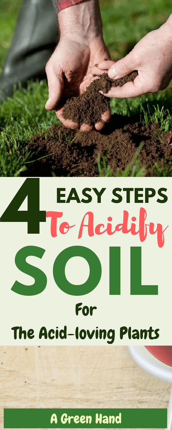 How To Make Soil More Acidic For Organic Planting SC Garden Guru