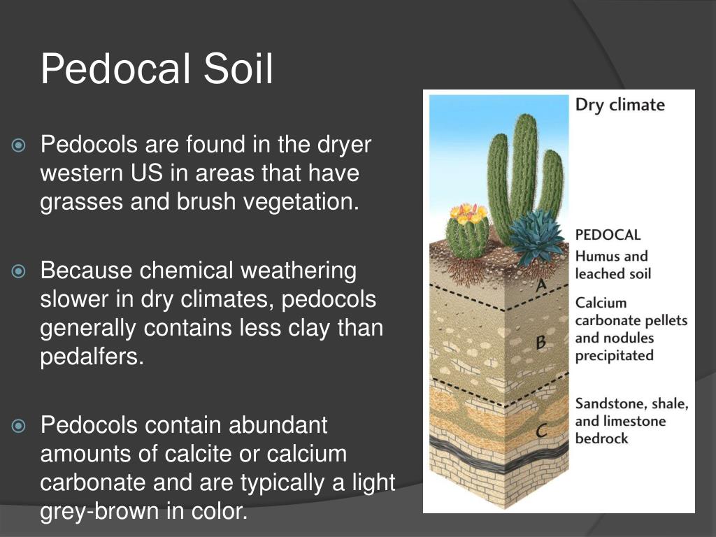 Pedalfer Soils The World’s NutrientRich IronRich Soils SC Garden Guru