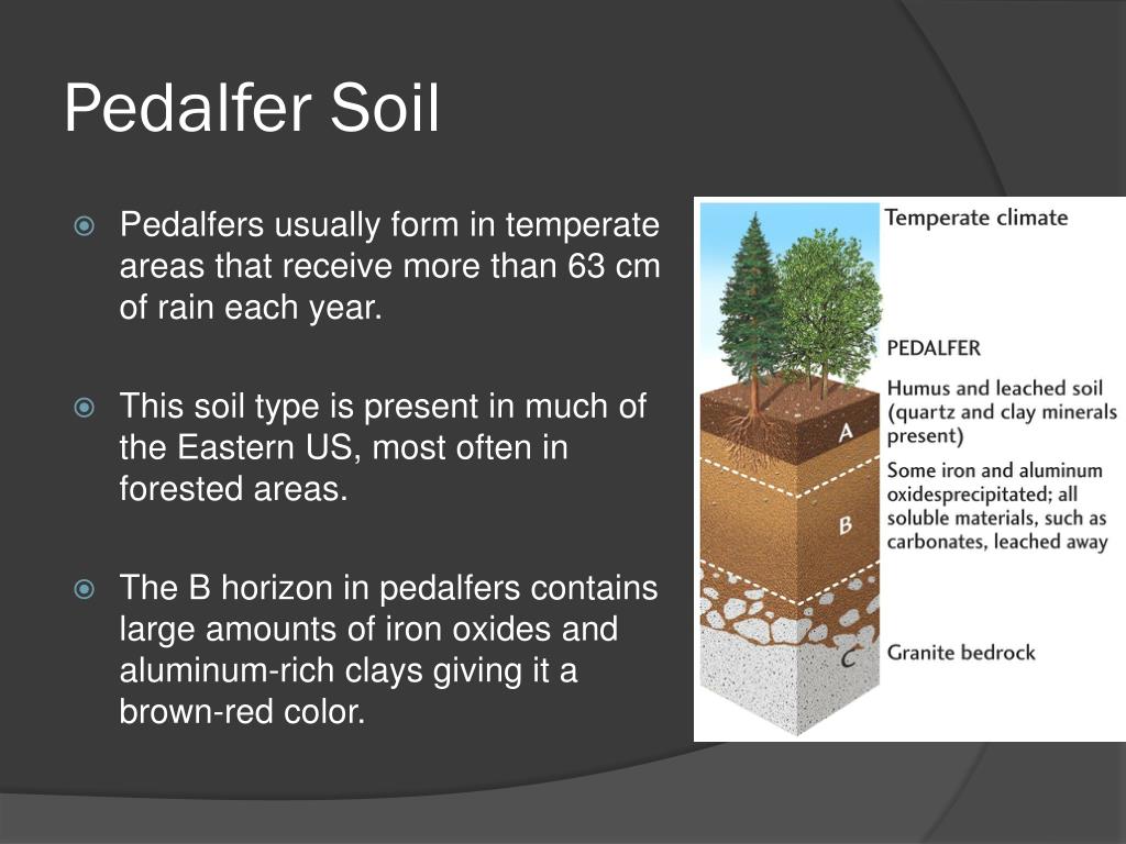 Pedalfer Soils The World’s NutrientRich IronRich Soils SC Garden Guru