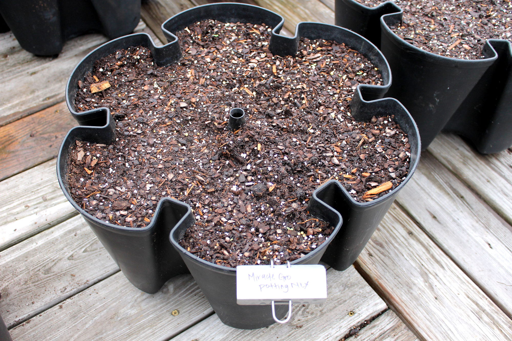 The Best Soil For New Plants At Menards SC Garden Guru