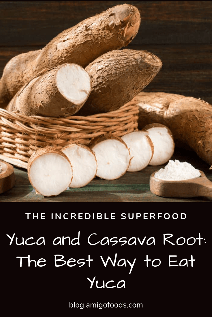 How Long Can Cooked Yucca Stay Out Safely? SC Garden Guru