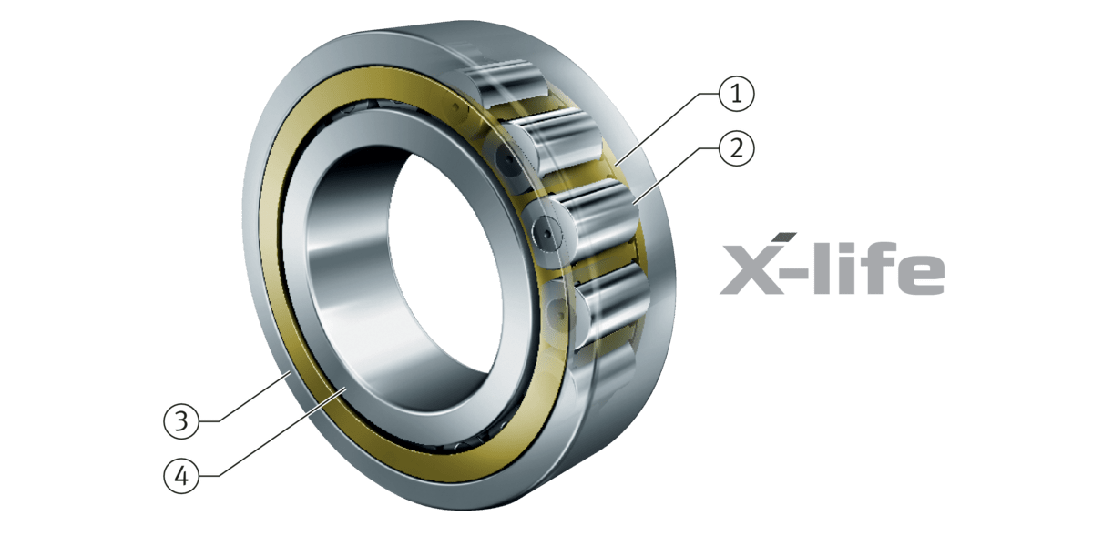 Single row cylindrical roller bearings with cage Schaeffler medias
